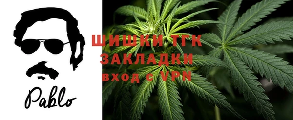 шишки Арсеньев