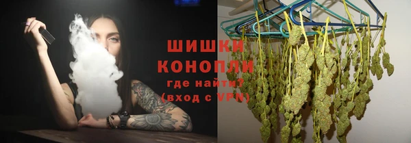 шишки Арсеньев