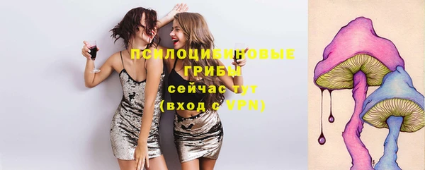 шишки Арсеньев