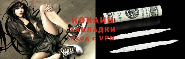 шишки Арсеньев