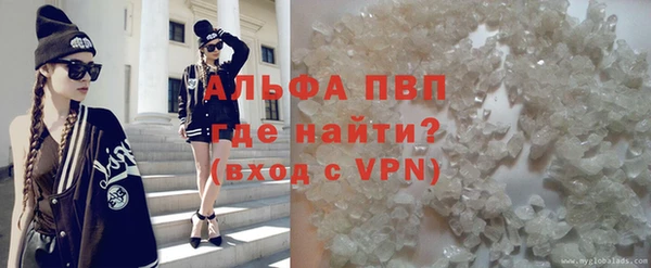 шишки Арсеньев