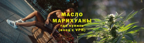 шишки Арсеньев