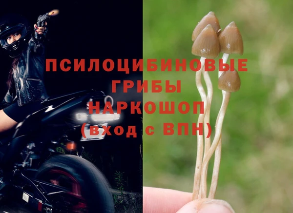 марки lsd Россошь