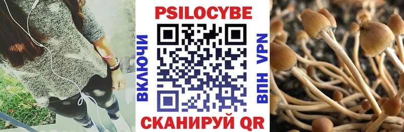 купить наркотик  kraken сайт  Галлюциногенные грибы Cubensis  Горбатов 